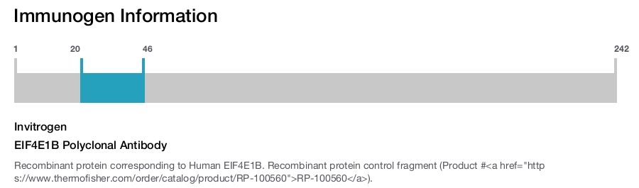 EIF4E1B Polyclonal Antibody