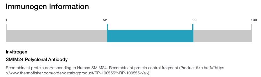 SMIM24 Polyclonal Antibody