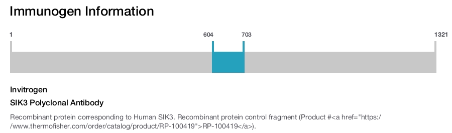 SIK3 Polyclonal Antibody