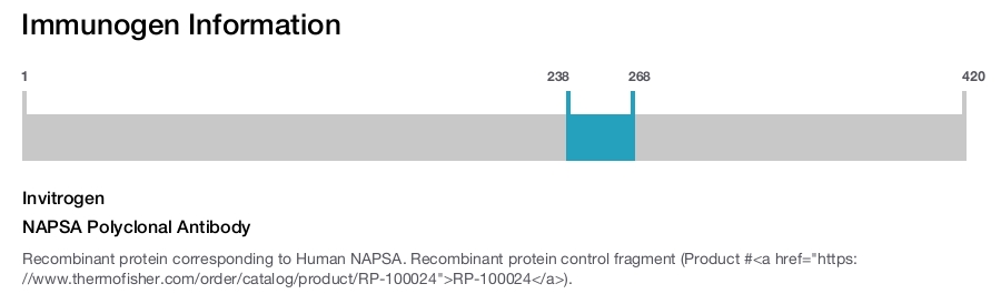 NAPSA Polyclonal Antibody