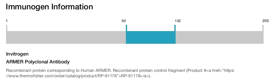 ARMER Polyclonal Antibody