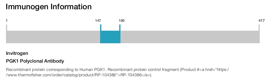 PGK1 Polyclonal Antibody