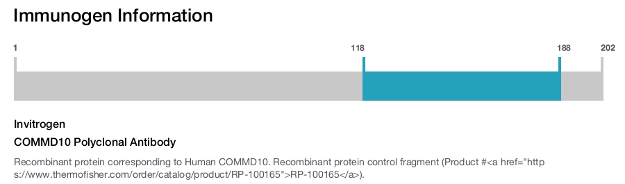 COMMD10 Polyclonal Antibody