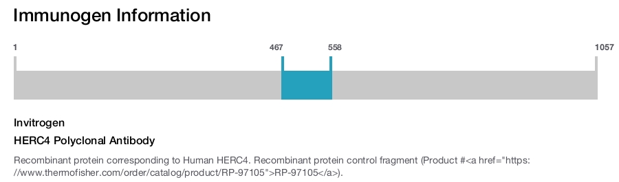 HERC4 Polyclonal Antibody