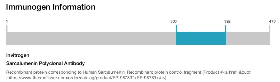 Sarcalumenin Polyclonal Antibody