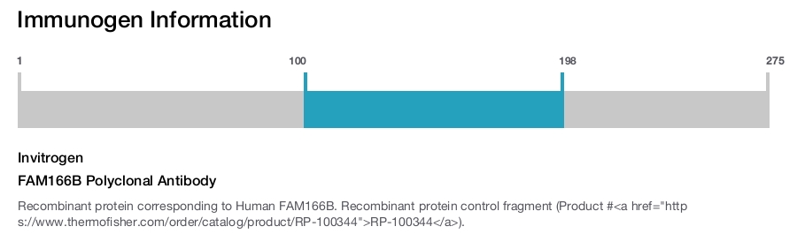 FAM166B Polyclonal Antibody