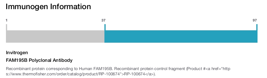 FAM195B Polyclonal Antibody