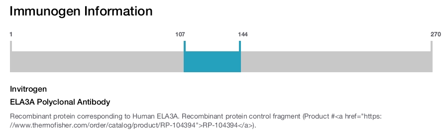 ELA3A Polyclonal Antibody
