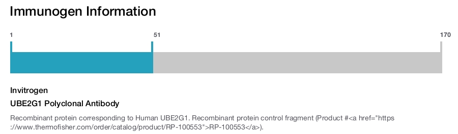 UBE2G1 Polyclonal Antibody