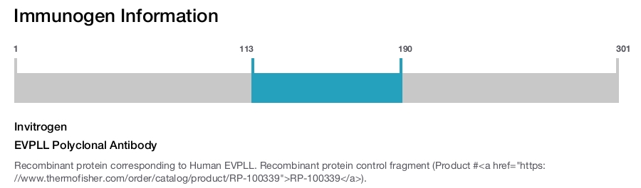 EVPLL Polyclonal Antibody