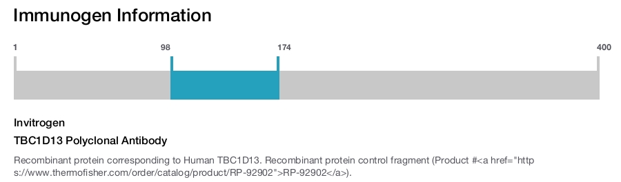 TBC1D13 Polyclonal Antibody