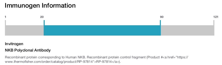 NKB Polyclonal Antibody
