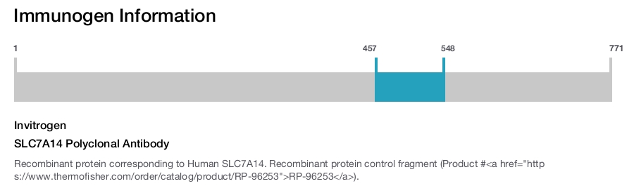 SLC7A14 Polyclonal Antibody