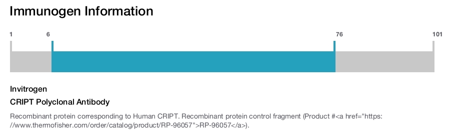 CRIPT Polyclonal Antibody