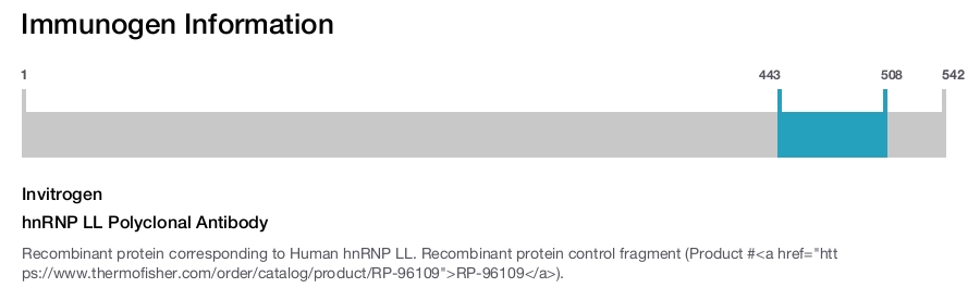 hnRNP LL Polyclonal Antibody