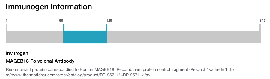MAGEB18 Polyclonal Antibody