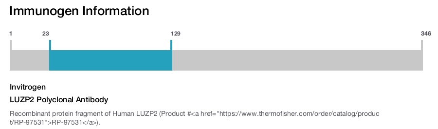 LUZP2 Polyclonal Antibody