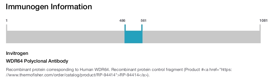 WDR64 Polyclonal Antibody