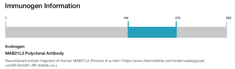 MAB21L3 Polyclonal Antibody
