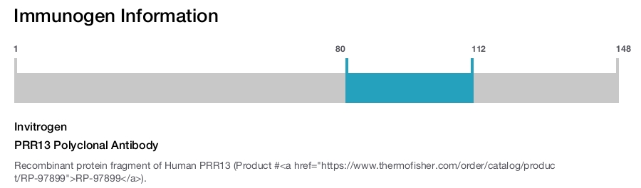PRR13 Polyclonal Antibody