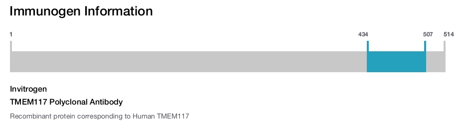 TMEM117 Polyclonal Antibody