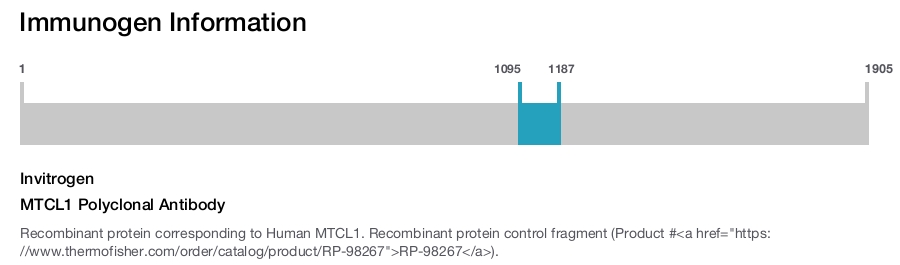 MTCL1 Polyclonal Antibody