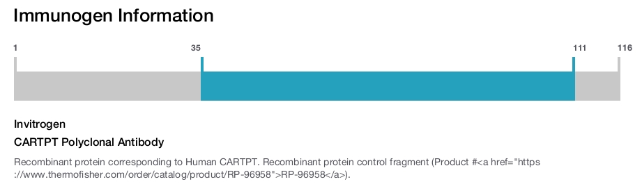 CARTPT Polyclonal Antibody