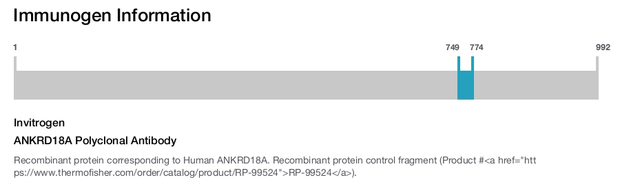 ANKRD18A Polyclonal Antibody