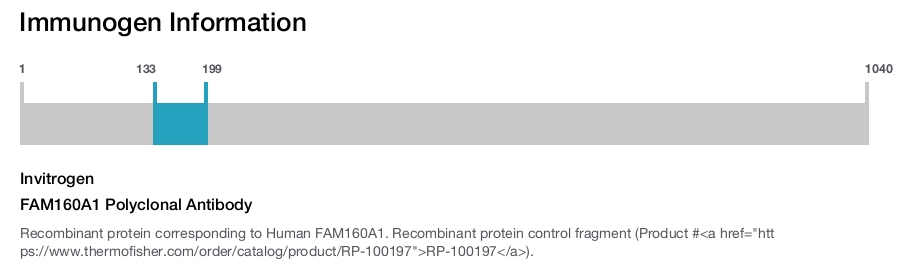FAM160A1 Polyclonal Antibody
