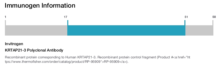 KRTAP21-3 Polyclonal Antibody