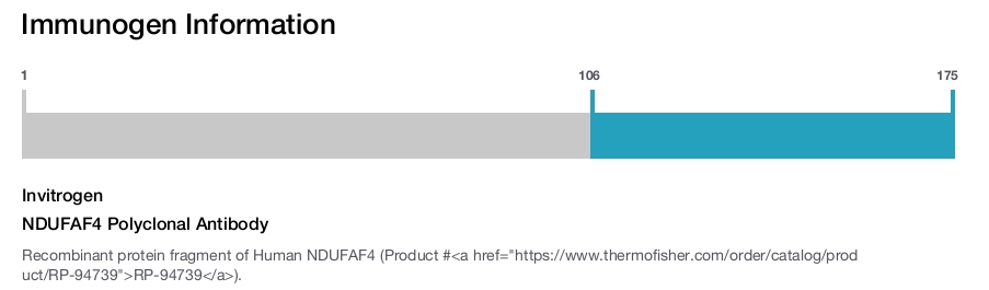NDUFAF4 Polyclonal Antibody