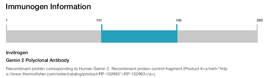 Gemin 2 Polyclonal Antibody