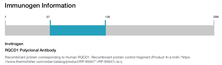 RQCD1 Polyclonal Antibody