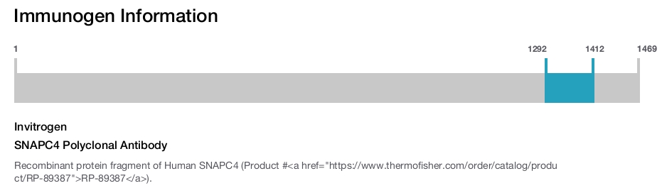 SNAPC4 Polyclonal Antibody