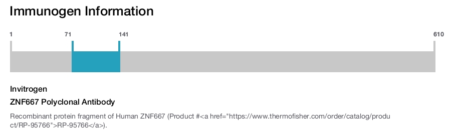 ZNF667 Polyclonal Antibody
