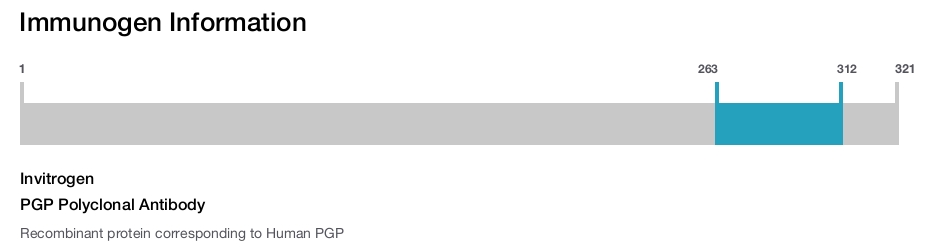 PGP Polyclonal Antibody