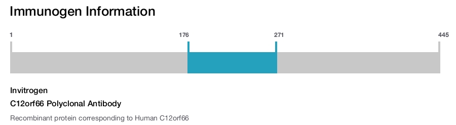 C12orf66 Polyclonal Antibody