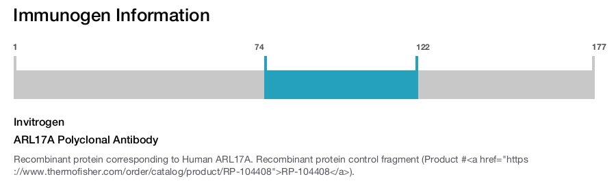 ARL17A Polyclonal Antibody