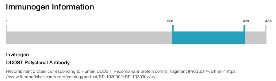 DDOST Polyclonal Antibody