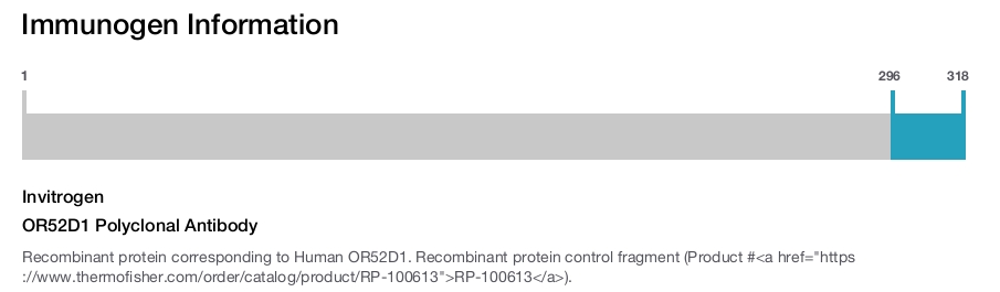 OR52D1 Polyclonal Antibody