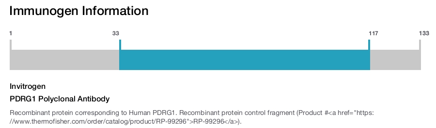 PDRG1 Polyclonal Antibody
