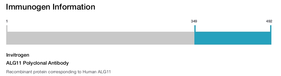 ALG11 Polyclonal Antibody