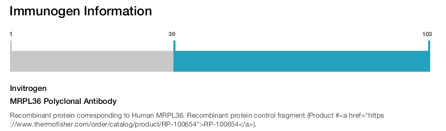 MRPL36 Polyclonal Antibody