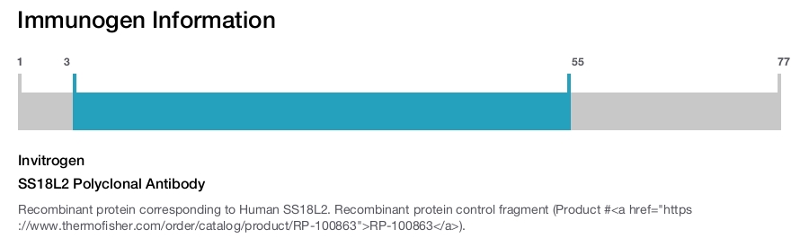 SS18L2 Polyclonal Antibody