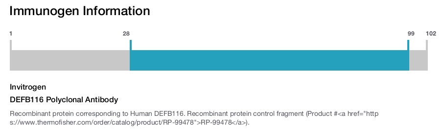 DEFB116 Polyclonal Antibody