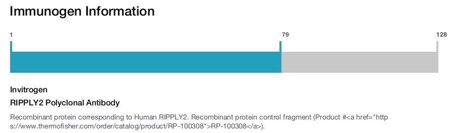 RIPPLY2 Polyclonal Antibody