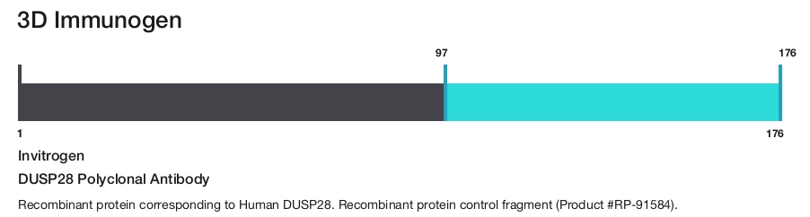 DUSP28 Polyclonal Antibody