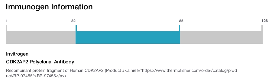 CDK2AP2 Polyclonal Antibody
