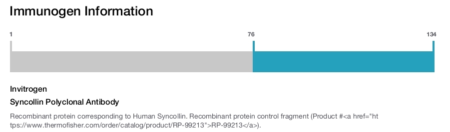 Syncollin Polyclonal Antibody