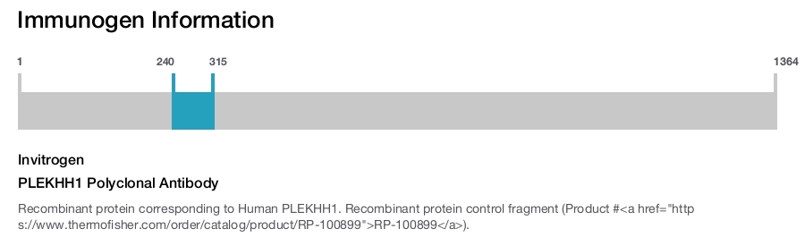 PLEKHH1 Polyclonal Antibody